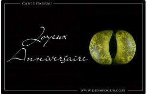 
			                        			Joyeux Anniversaire