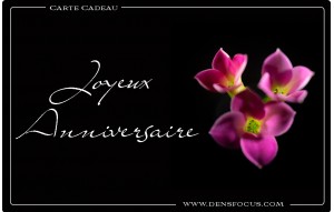 
			                        			Joyeux Anniversaire