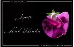 
			                        			Saint Valentin