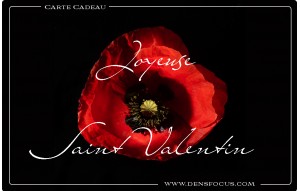 
			                        			Saint Valentin