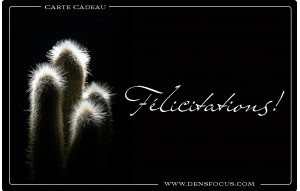 
			                        			Félicitations